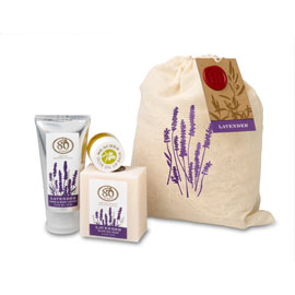 christineGiftBagLavL