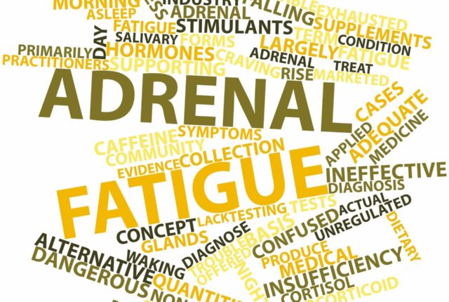 what is adrenal fatigue