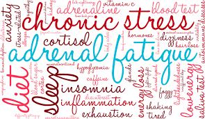 What is Adrenal fatigue